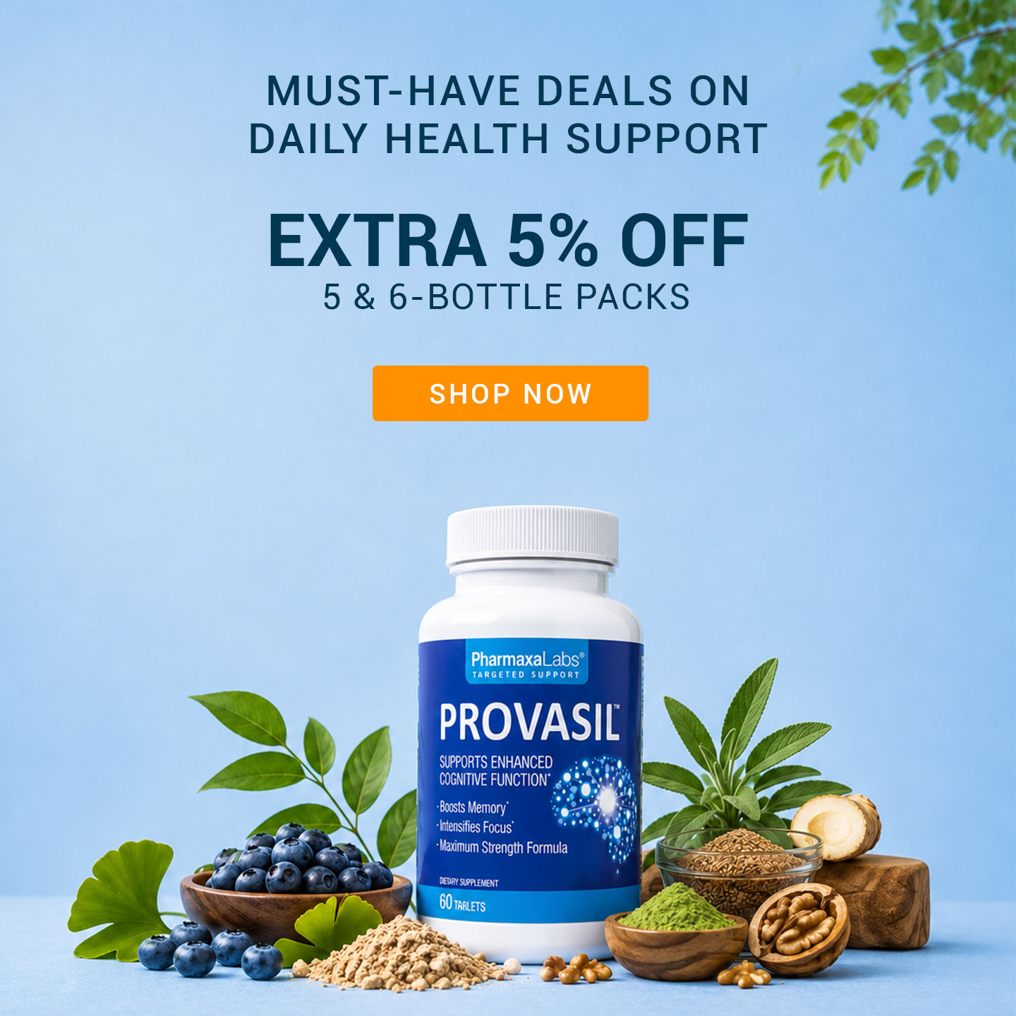 Provasil Flash Sale Aug 28 Mobile