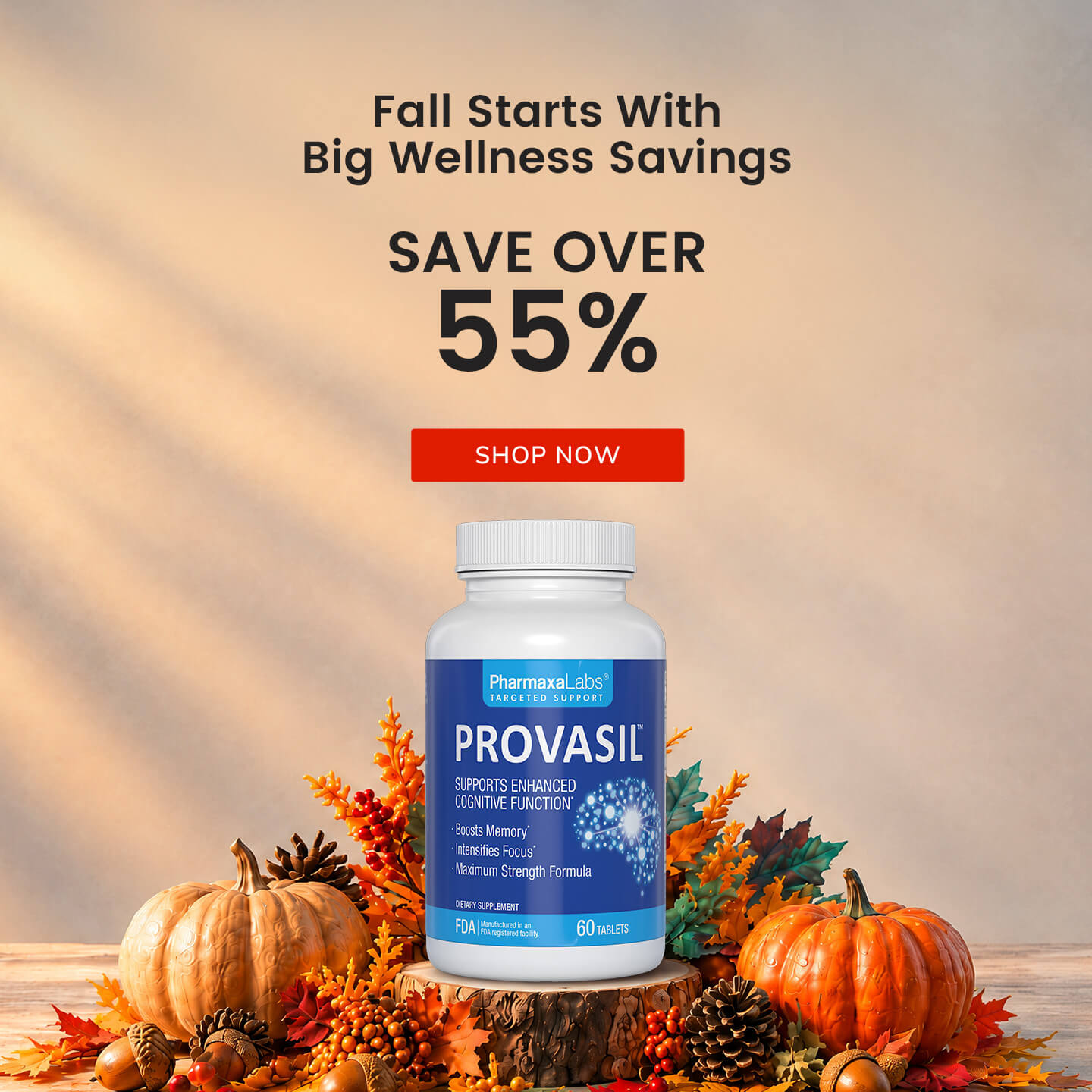 Provasil Fall Sale