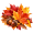 Provasil Fall Sale