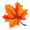 fall icon
